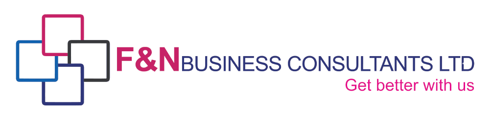 F&N Consulting Logo