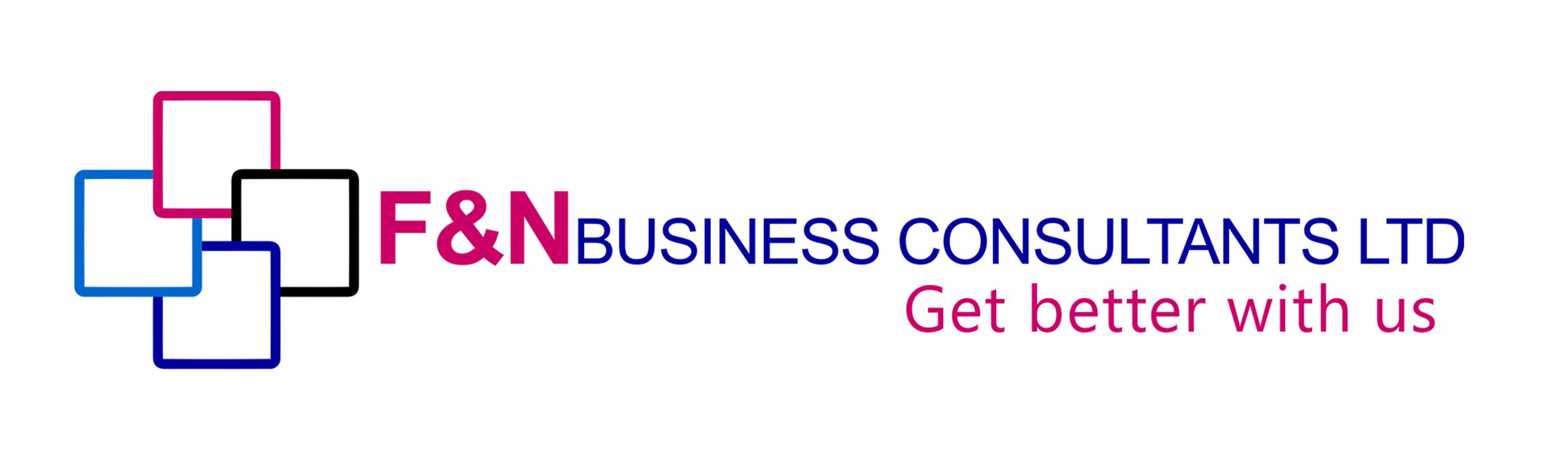 FN Business Consultants Logo